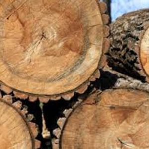 Distribución y venta de leña y carbón en Segovia y toda España - Leñas Ricosan - Leña de roble a granel